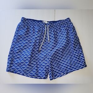 The Endless Summer Blue Wave Pattern Men's Swim Short Trunks